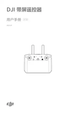 DJI大疆DJI 带屏遥控器